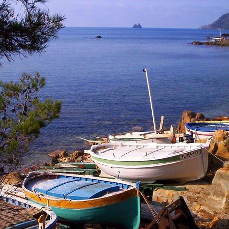 "L'Hippocampe", Climatise, 60 M2 , 2 Chambres, Tres Calme, Plage Des Sablettes Et Commerces A 3 Minutes A Pied, Wifi, Parking Gratuit, Lit King Size La Seyne-sur-Mer Eksteriør billede