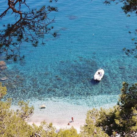 "L'Hippocampe", Climatise, 60 M2 , 2 Chambres, Tres Calme, Plage Des Sablettes Et Commerces A 3 Minutes A Pied, Wifi, Parking Gratuit, Lit King Size La Seyne-sur-Mer Eksteriør billede