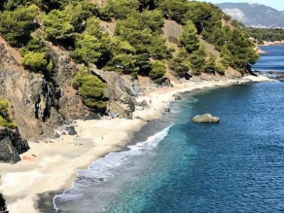 "L'Hippocampe", Climatise, 60 M2 , 2 Chambres, Tres Calme, Plage Des Sablettes Et Commerces A 3 Minutes A Pied, Wifi, Parking Gratuit, Lit King Size La Seyne-sur-Mer Eksteriør billede