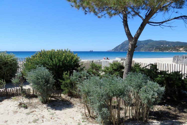 "L'Hippocampe", Climatise, 60 M2 , 2 Chambres, Tres Calme, Plage Des Sablettes Et Commerces A 3 Minutes A Pied, Wifi, Parking Gratuit, Lit King Size La Seyne-sur-Mer Eksteriør billede