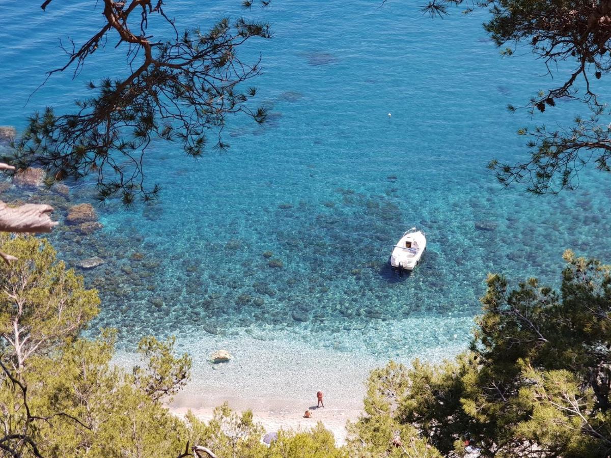 "L'Hippocampe", Climatise, 60 M2 , 2 Chambres, Tres Calme, Plage Des Sablettes Et Commerces A 3 Minutes A Pied, Wifi, Parking Gratuit, Lit King Size La Seyne-sur-Mer Eksteriør billede